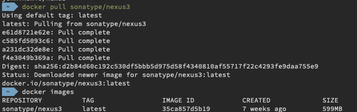 docker-nexus-pull